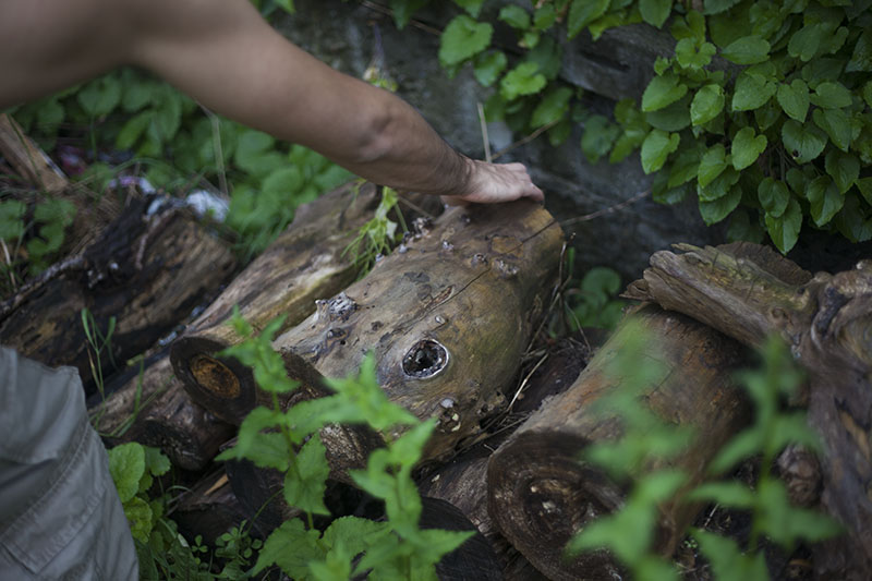 using wet log to build fire