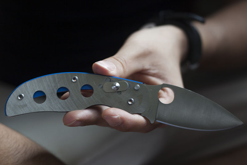 scales removed from spyderco sage 3