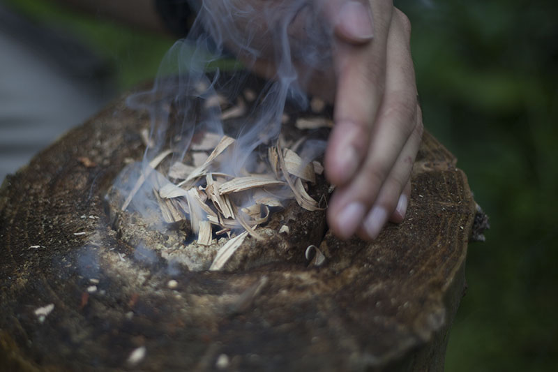 smoke from fire in wet wood