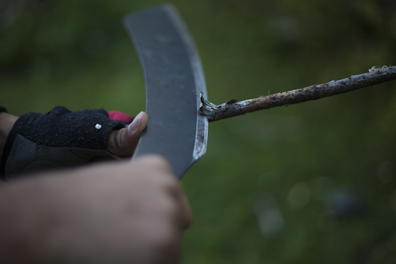 testing survival and camping knife