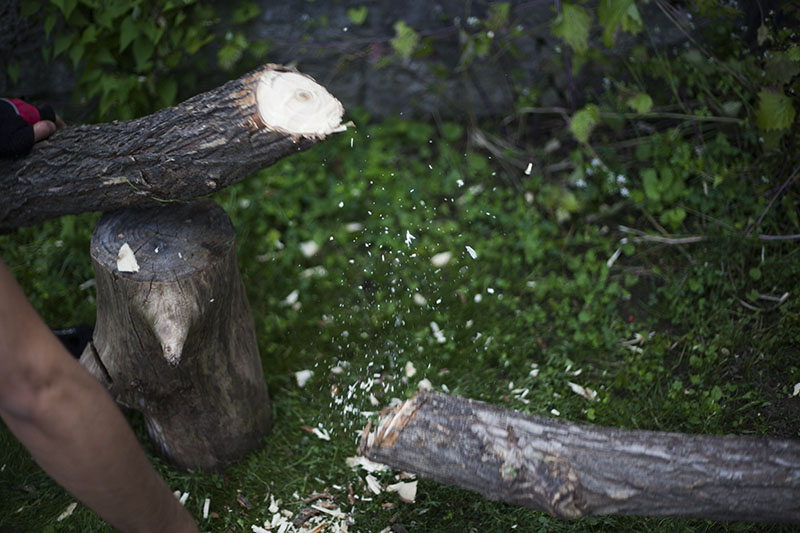 bowie went through wood in one swing