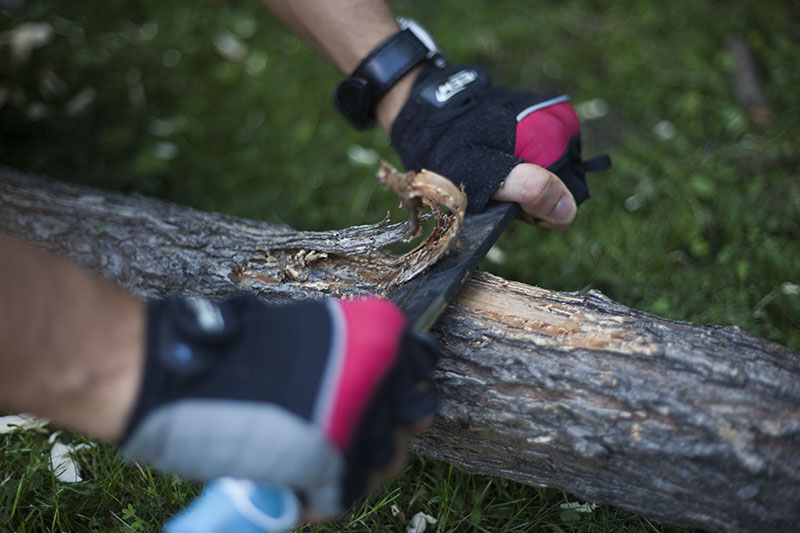 bark strip from log with ontario spec raider bowie knife