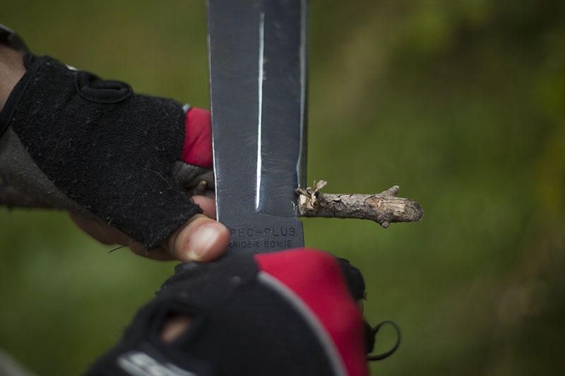 picture testing ontario spec plus sp10 marine raider bowie