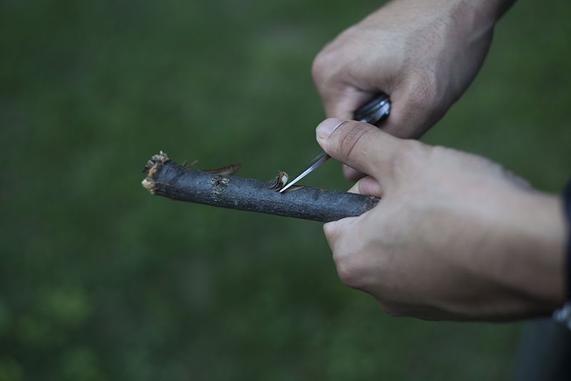 testing outdoor use spyderco sage 1 knife