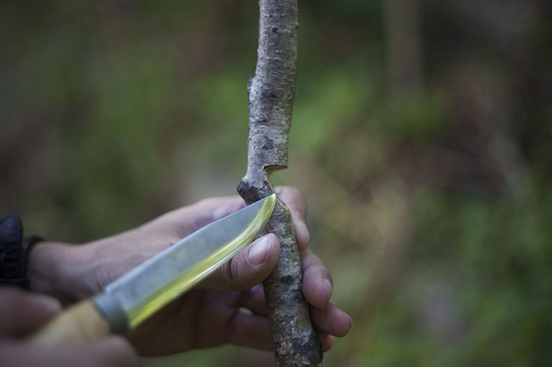 bushcrafting from home how to teach yourself survival skills inside