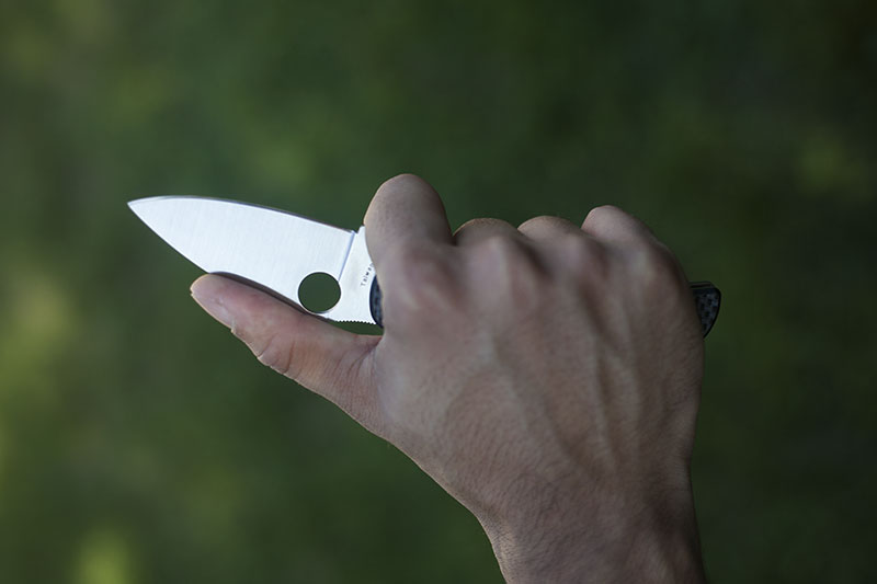 leaf shaped spyderco sage i folder