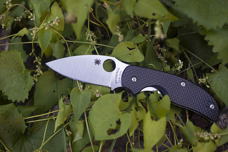 Spyderco Sage 1 Carbon Fiber Plain Edge Knife Review