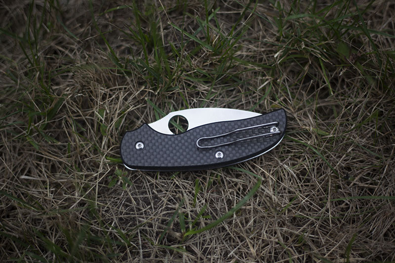 pictures of spyderco sage 1 knife