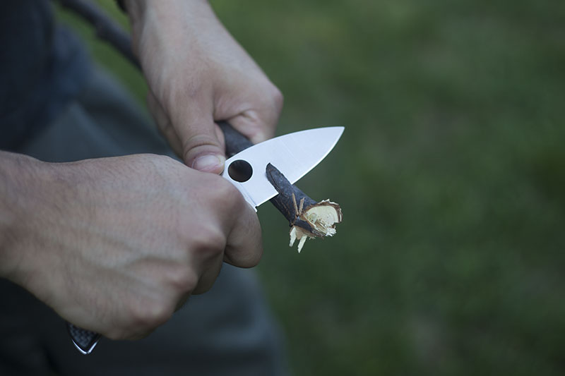 spyderco sage 1 more than just surviving review