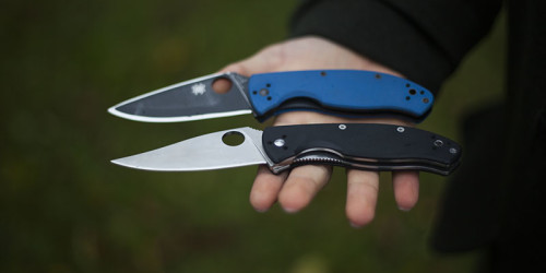 more-than-just-surviving-knife-review-spyderco-tenacious