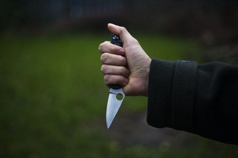 frn handles spyderco delica 4 ffg knife