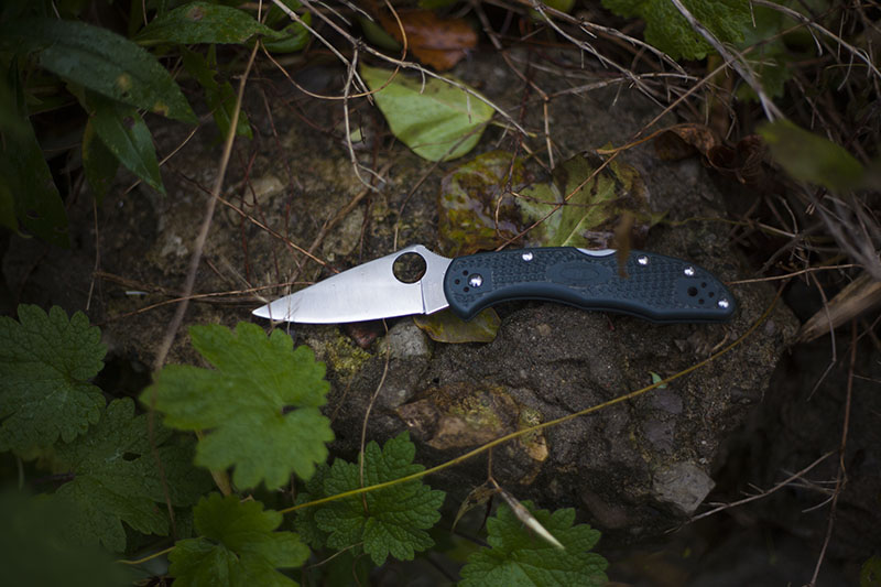 spyderco delica 4 survival blog review