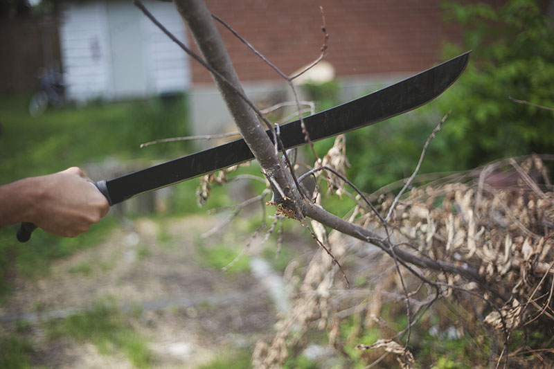 cold steel machete 24 wilderness survival blog review