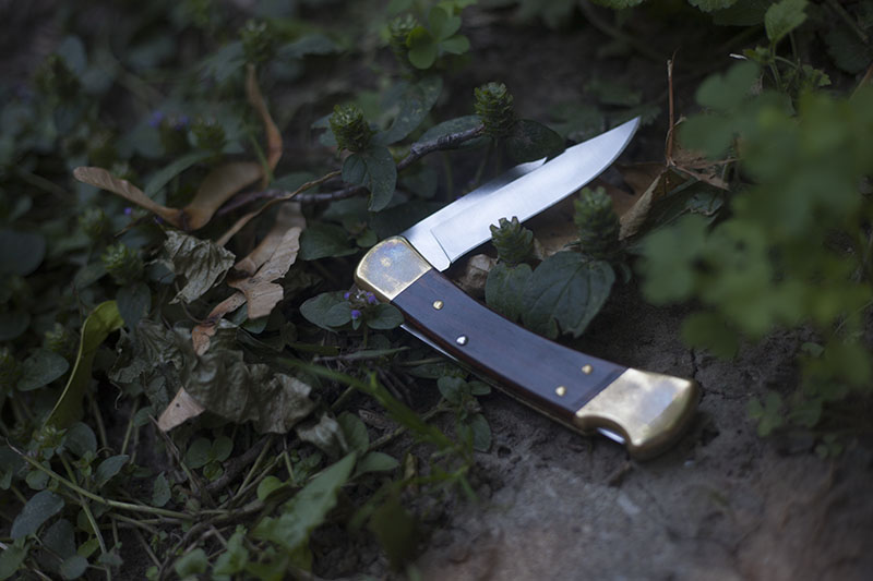 Buck 110 Folding Hunter Review