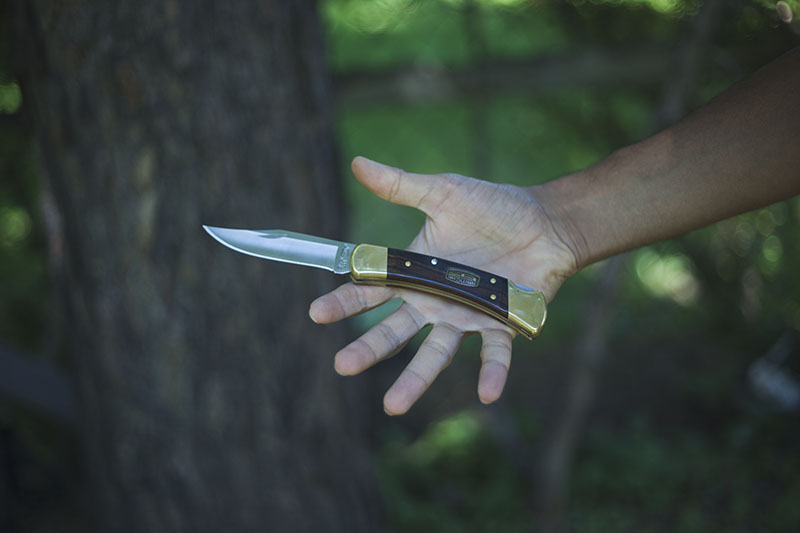 buck 110 classic folding hunter survival blog review