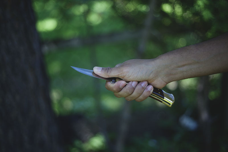 more than just surviving review buck 110 folding hunter