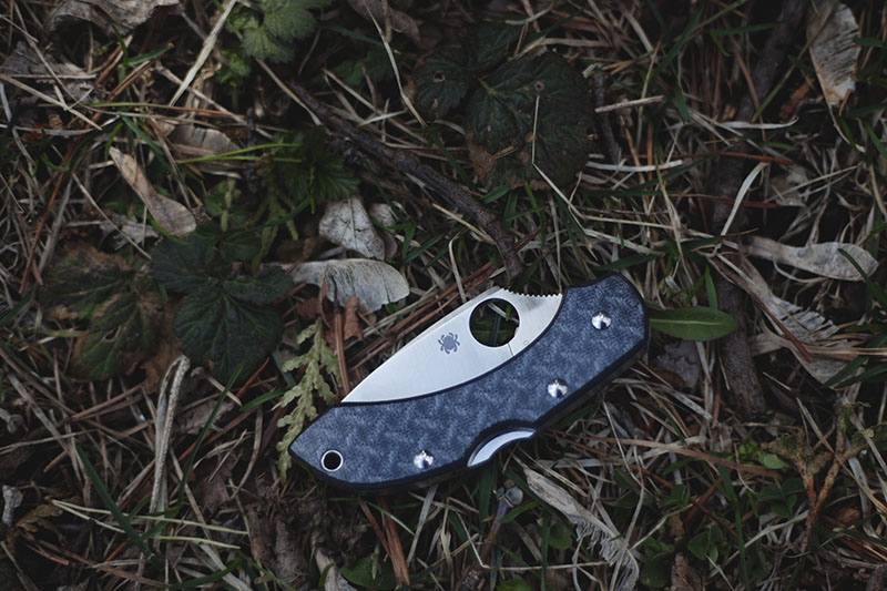 Spyderco Dragonfly 2 Little Big EDC Knife Review