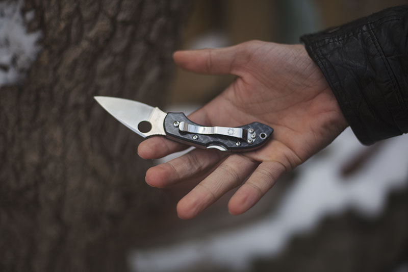 little big knife spyderco dragonfly 2 survival blog review