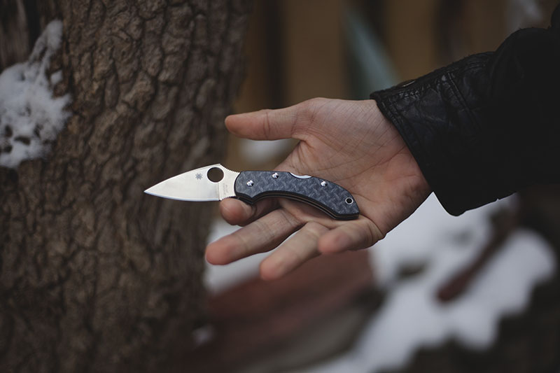 everyday carry small knife review spyderco dragonfly 2