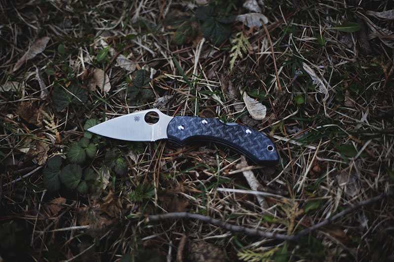 little big spyderco dragonfly 2 review more than just surviving