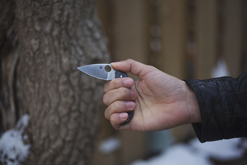 everyday carry small knife spyderco dragonfly 2 review little big