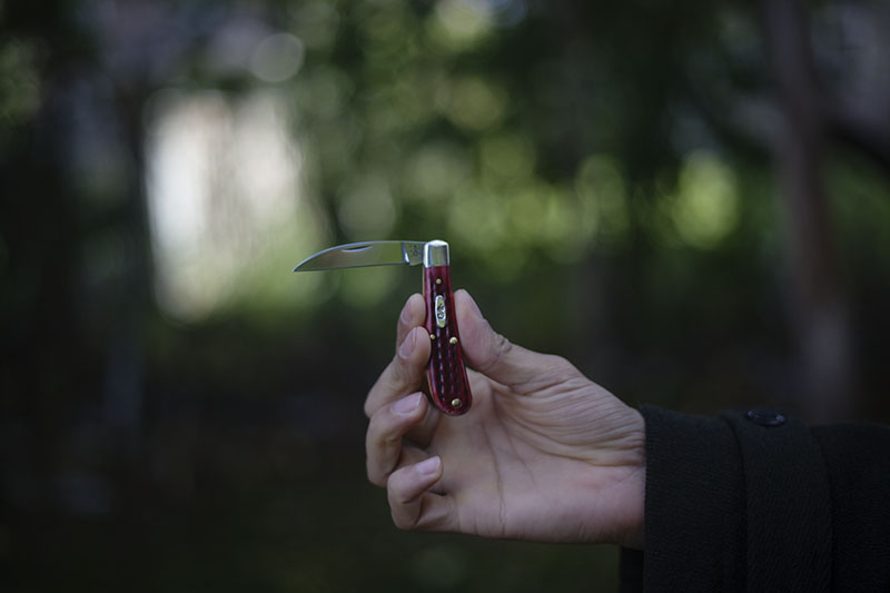 traditional pocket knife case sway back review gent red handles