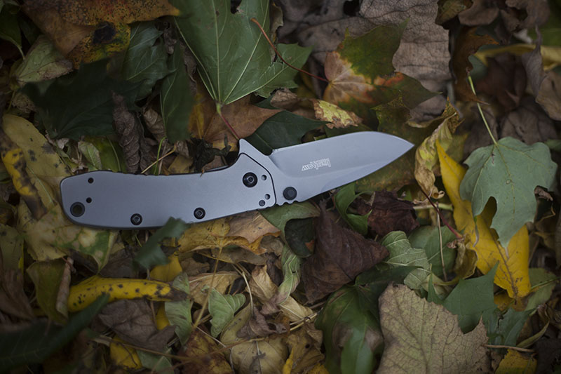 kershaw cryo ii review edc folding knife