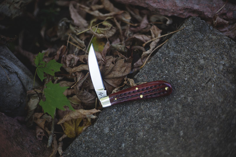 survival blog review case sway back gent slip joint knife