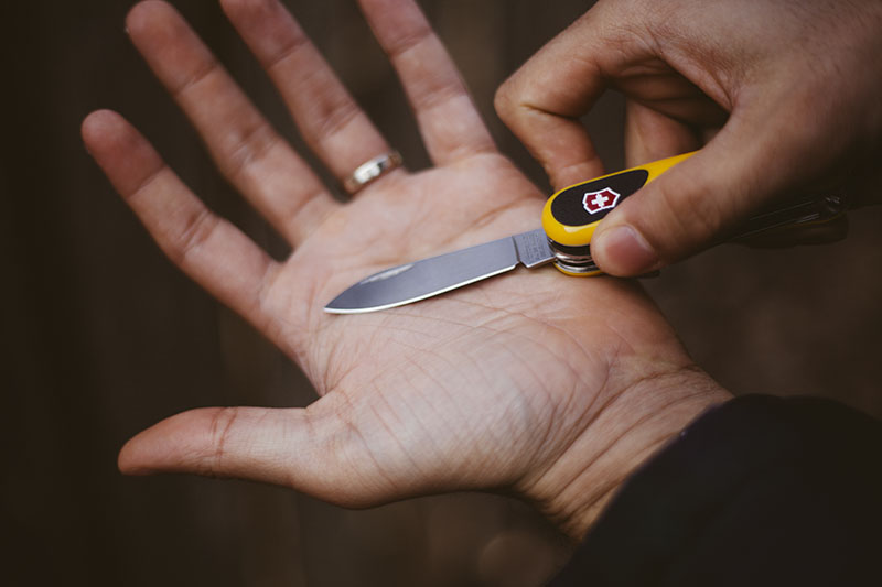 Victorinox cheap evogrip s18