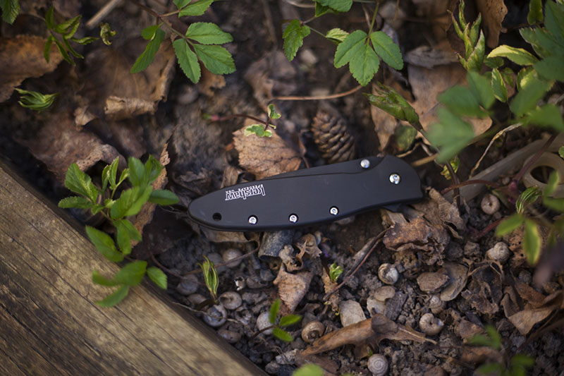 everyday carry edc kershaw leek review 1660 flipper ken onion gear knife