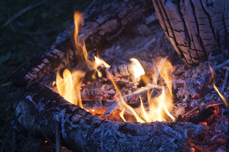 Can I Cook Outside Without Attracting People & Animals?
