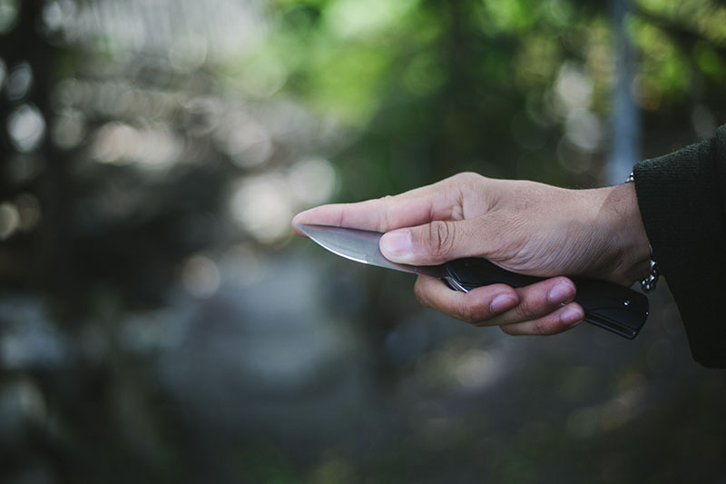 survival blog gear review buck vantage folding flipper pocket knife