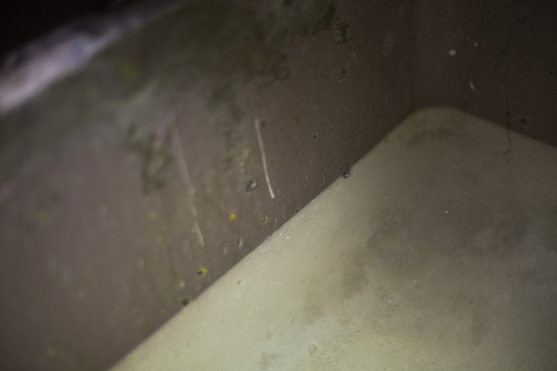 How to Purify Contaminated Water
