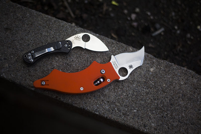 unique spydies best spyderco knives list more than just surviving