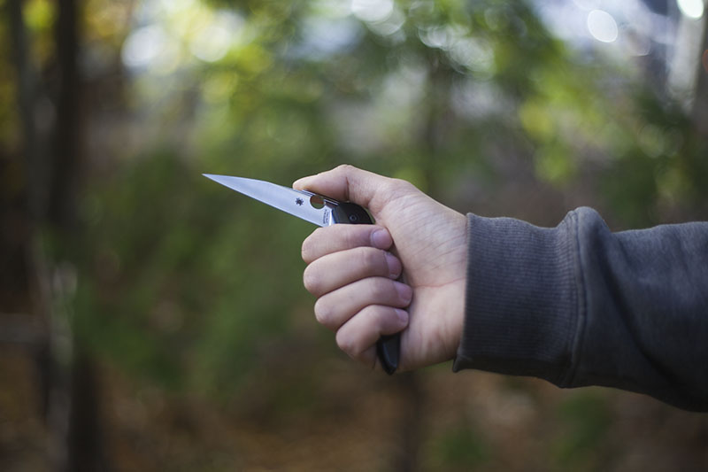 folding edc liner lock pocket knife spyderco des horn review