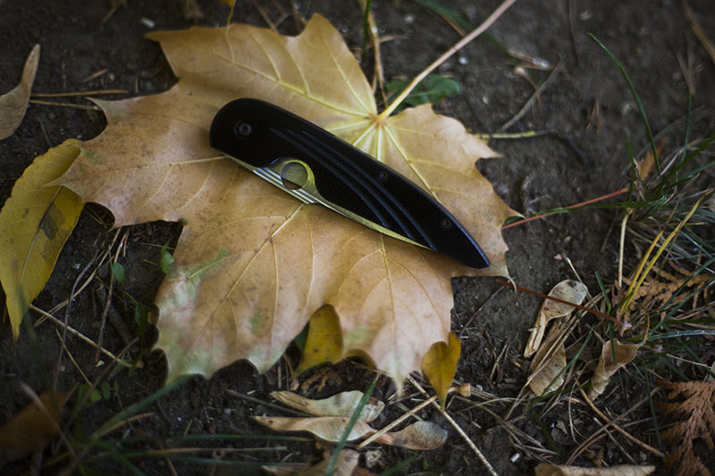 edc pocket knife spyderco des horn review knives gear