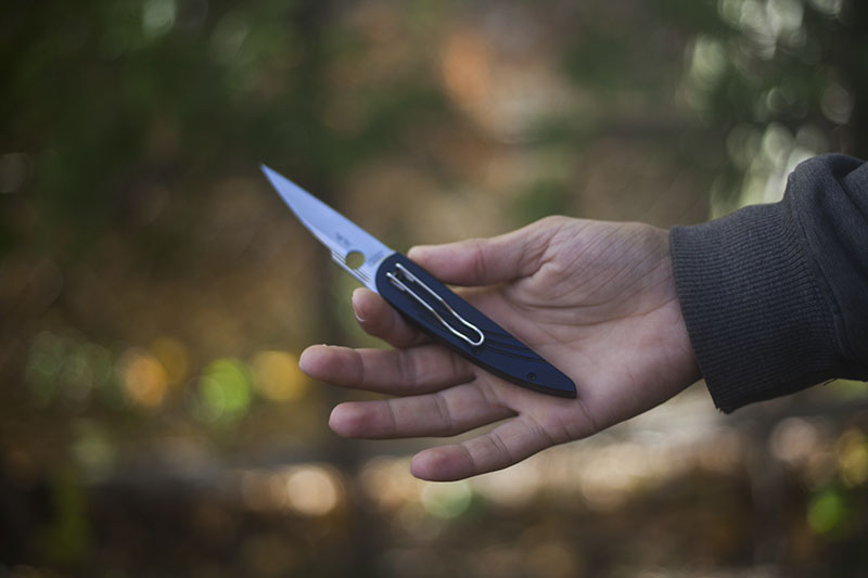 pocket knife review spyderco des horn lightweight gentleman edc