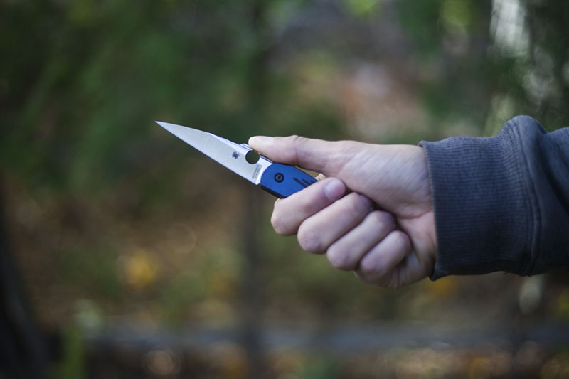 survivalist blog everyday carry gear review spyderco des horn