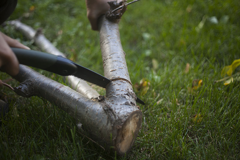 survival bushcraft blog gear review bahco laplander folding saw