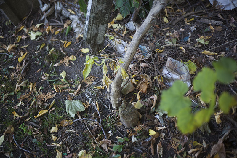 bushcraft folding saw review bahco laplander survivalist blog