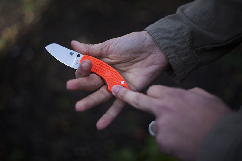 orange handle uk legal edc spyderco pingo knife review