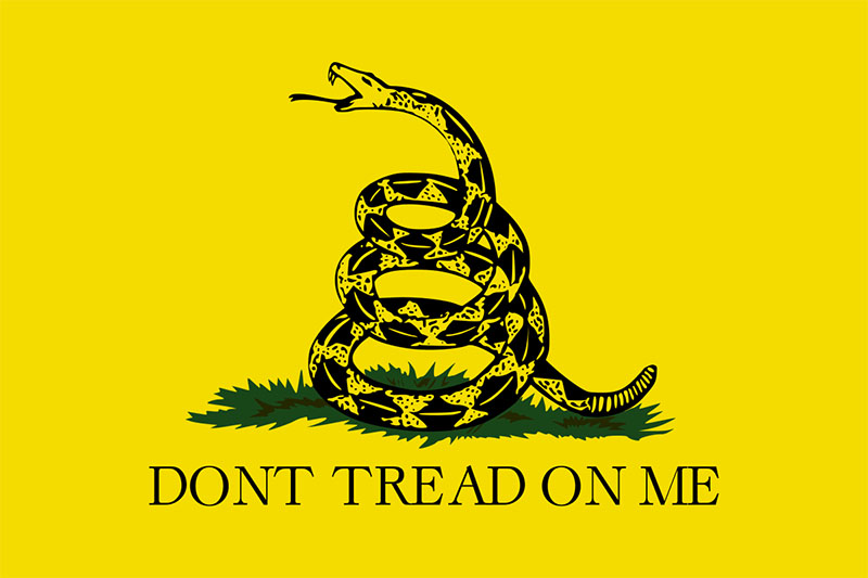 historical significance meaning behind gadsden flag survival prepper blog