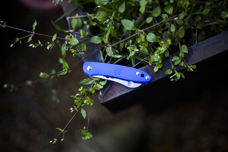 tiny edc everyday carry knife spyderco roadie review