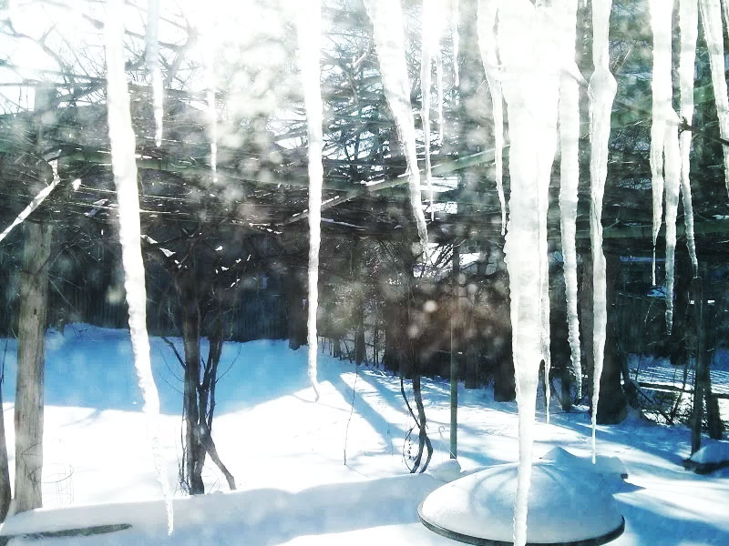 canadian-winter-in-toronto-icicles-backyard